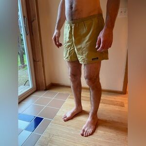 Patagonia Men's Short Mesh Lined Shorts